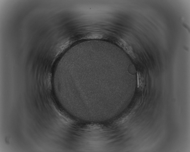 X0000091550300200709071223