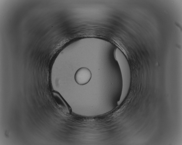 X0000091550301200709071223