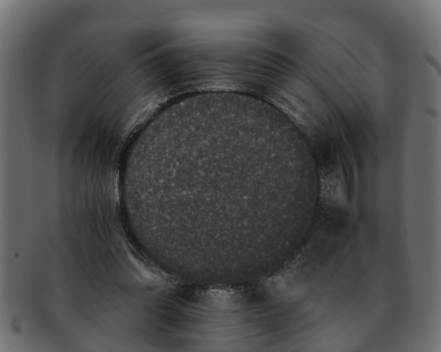 X0000091550302200709071223