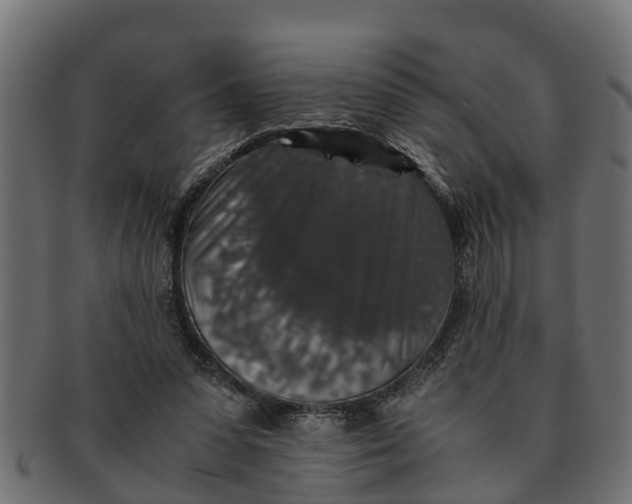 X0000091550303200709071223