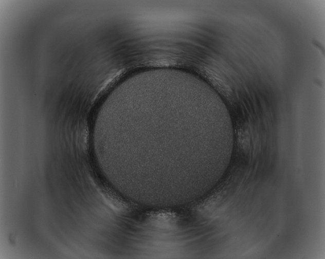 X0000091550304200709071223