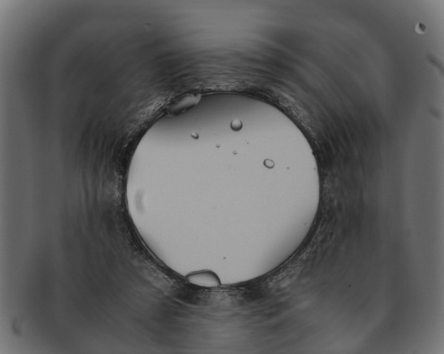 X0000091550305200709071223