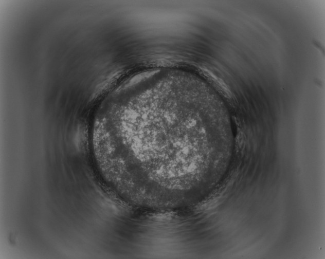 X0000091550306200709071223