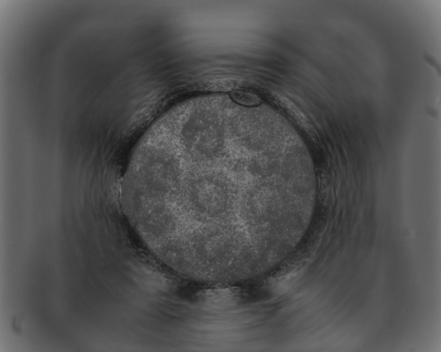 X0000091550307200709071223