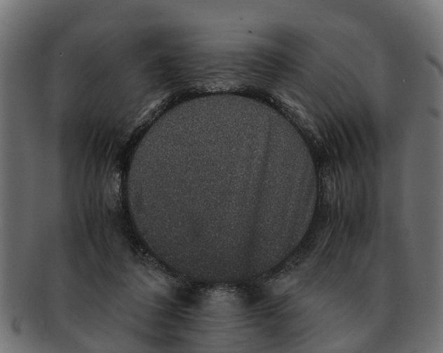 X0000091550308200709071223