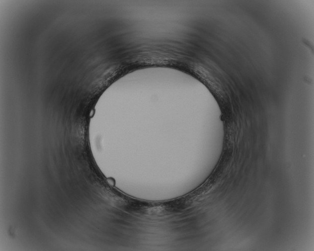 X0000091550309200709071223