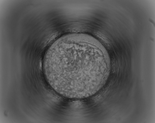 X0000091550310200709071223