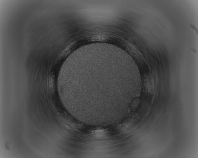X0000091550312200709071223