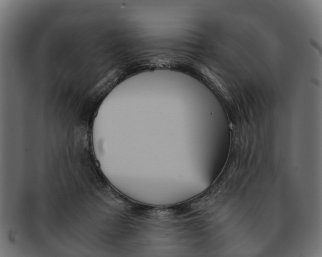 X0000091550313200709071223