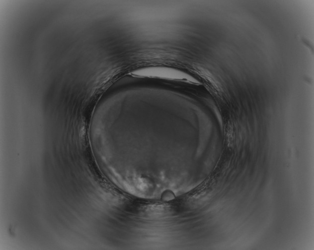 X0000091550314200709071223