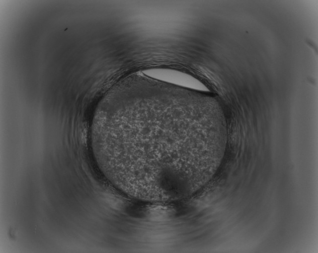 X0000091550315200709071223