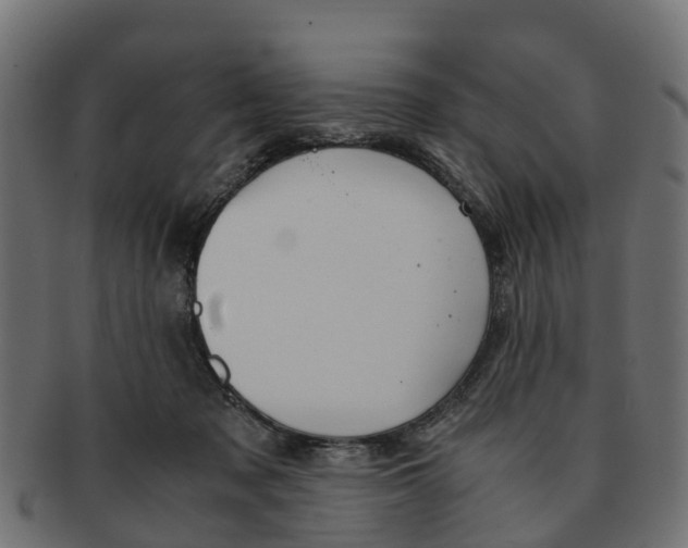 X0000091550317200709071223