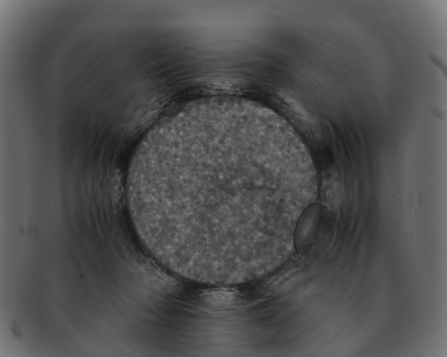 X0000091550318200709071223