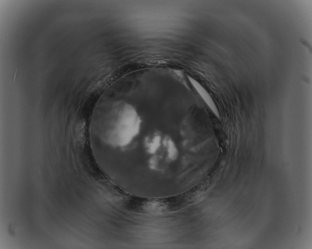 X0000091550319200709071223