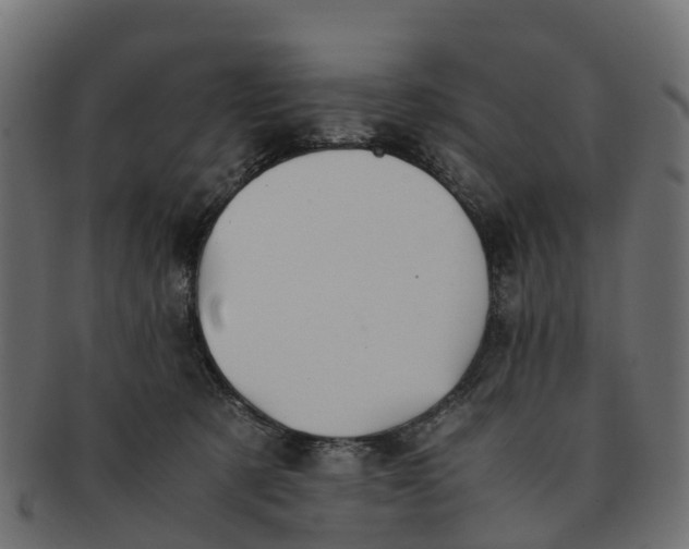 X0000091550321200709071222