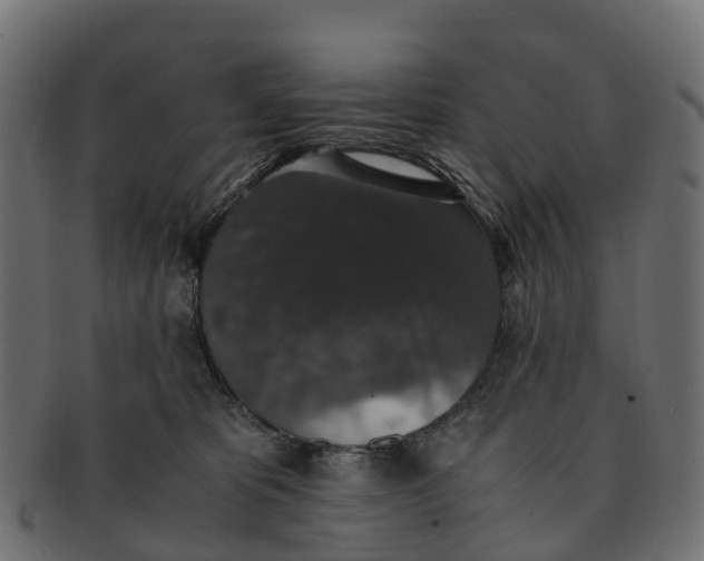 X0000091550325200709071222