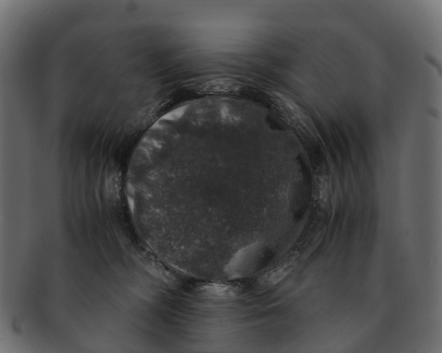 X0000091550326200709071222