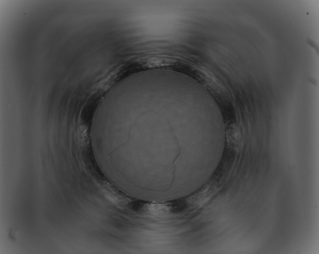 X0000091550327200709071222