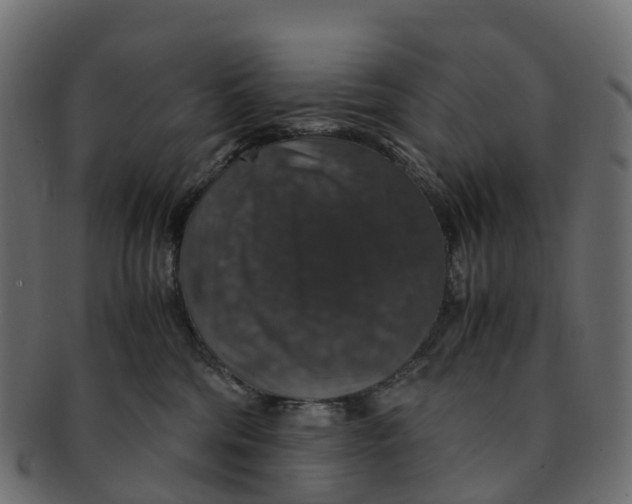 X0000091550330200709071222
