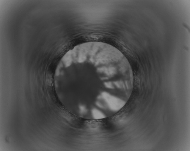 X0000091550331200709071222
