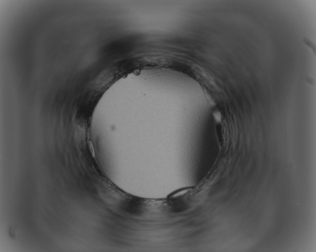 X0000091550333200709071222
