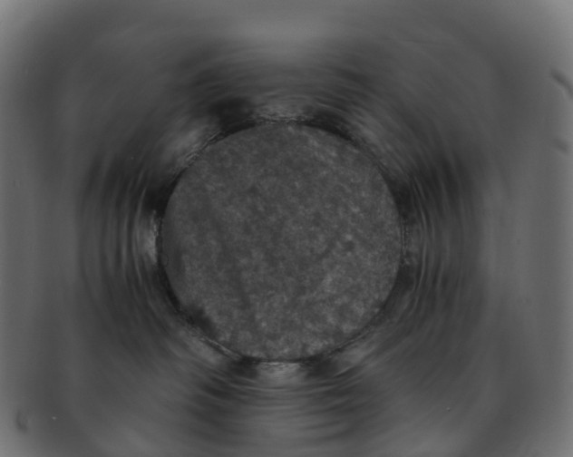 X0000091550334200709071222