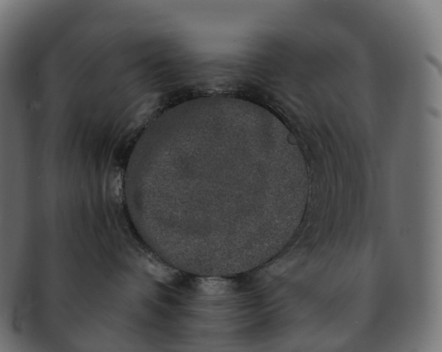 X0000091550336200709071222