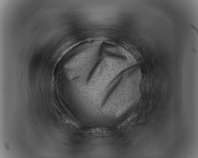 X0000091550338200709071222
