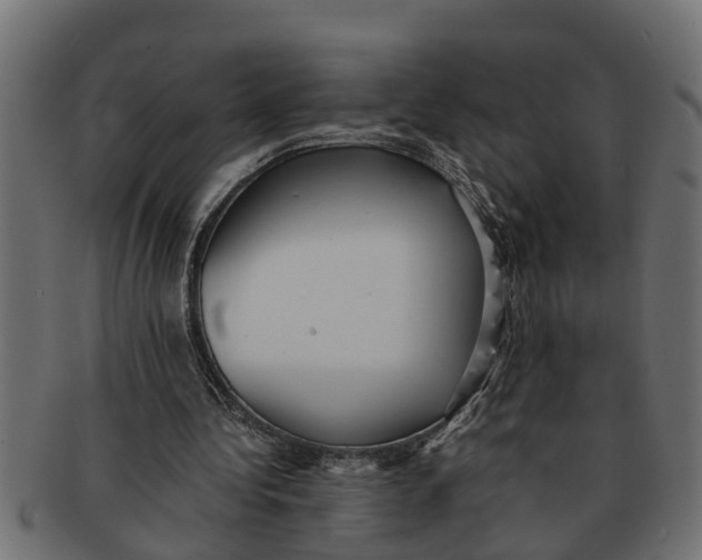 X0000091550340200709071222
