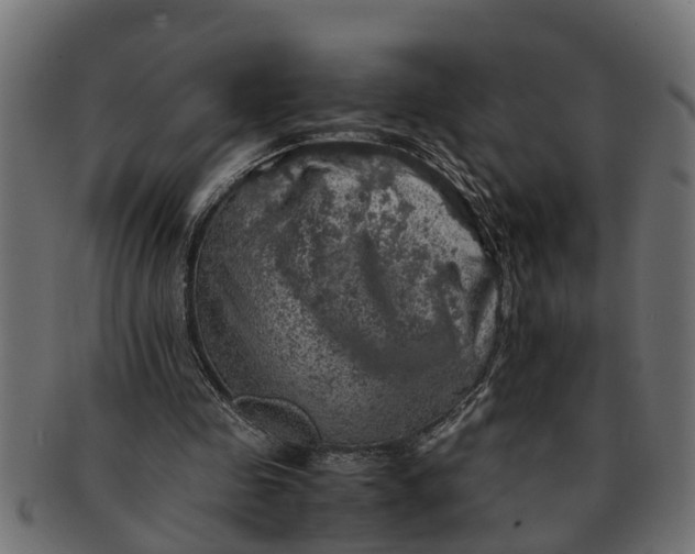 X0000091550341200709071222