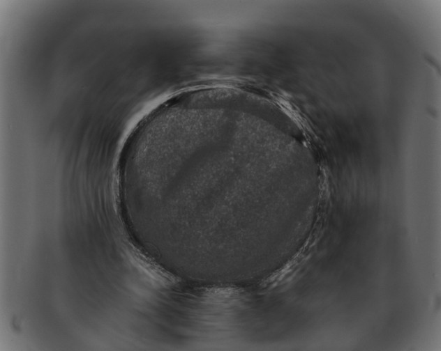 X0000091550342200709071222
