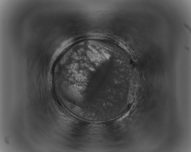 X0000091550343200709071222