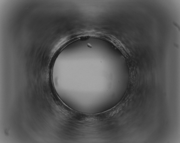 X0000091550344200709071222