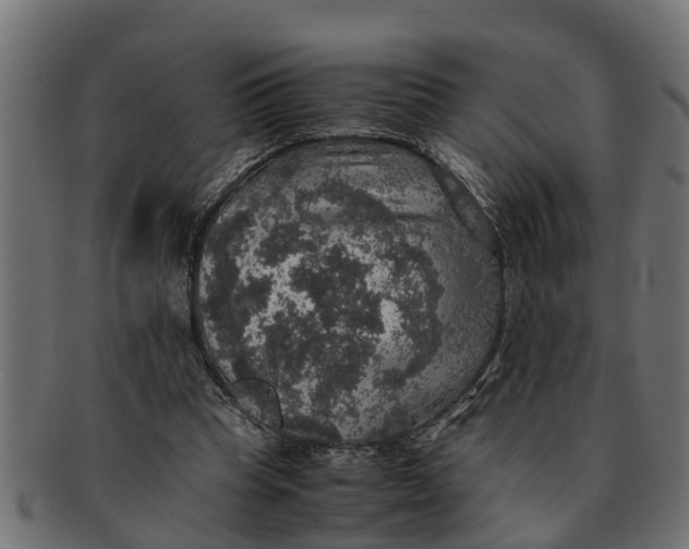 X0000091550345200709071222