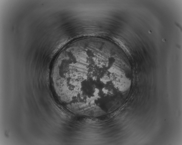 X0000091550346200709071222