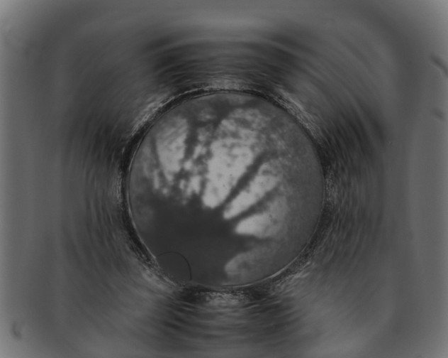 X0000091550347200709071222