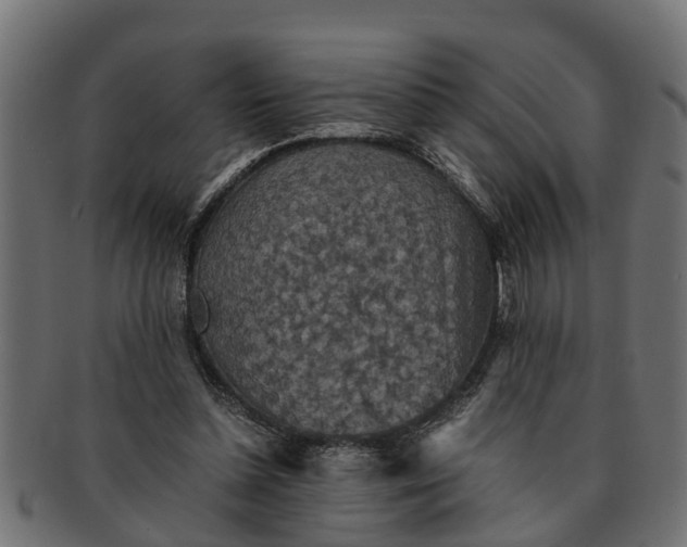 X0000091550348200709071222