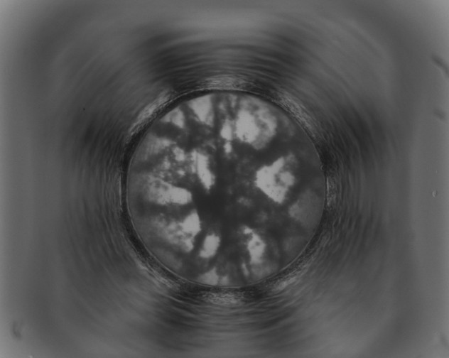 X0000091550349200709071222