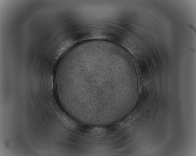 X0000091550350200709071222