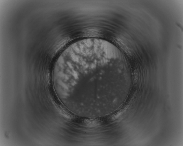 X0000091550351200709071222