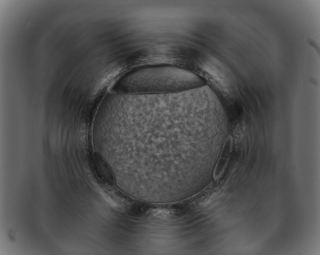 X0000091550352200709071222