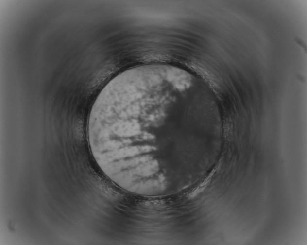 X0000091550353200709071222