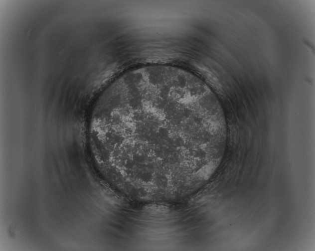 X0000091550354200709071222