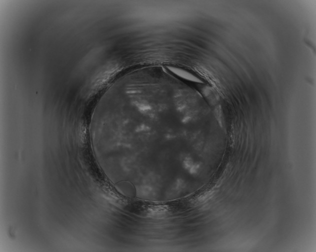 X0000091550355200709071222