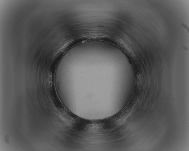 X0000091550356200709071222