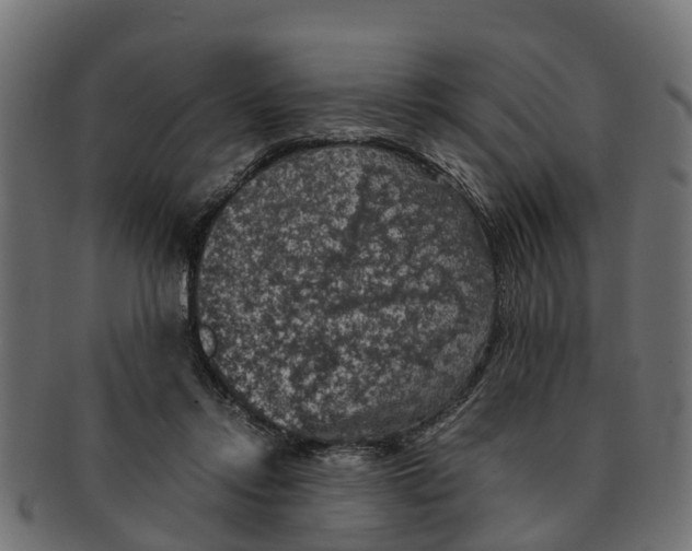 X0000091550358200709071222