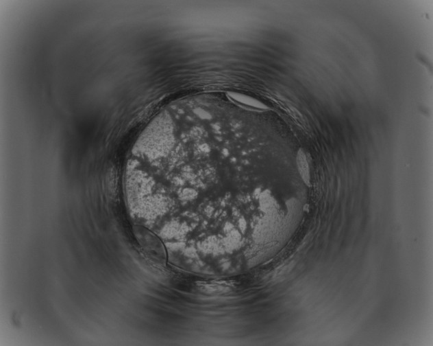 X0000091550359200709071222