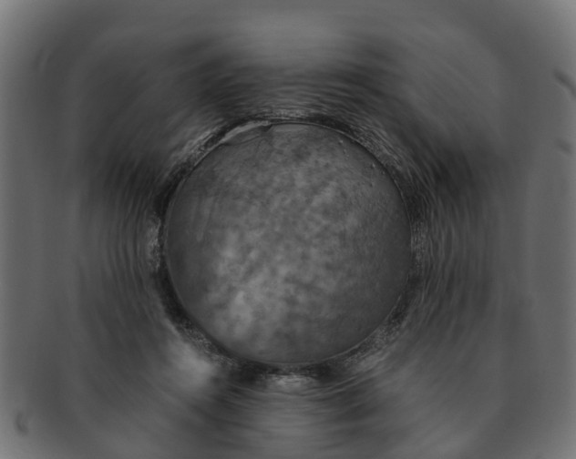 X0000091550360200709071222