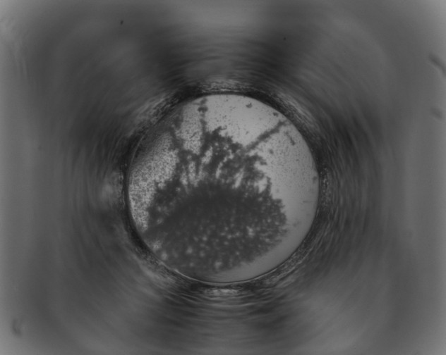 X0000091550361200709071222