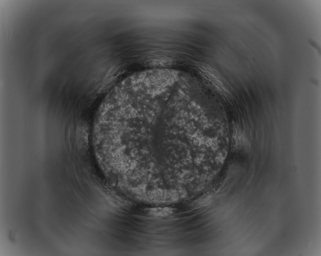 X0000091550363200709071222